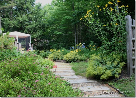 Back garden entrance in July (photo credit: Jean Potuchek)