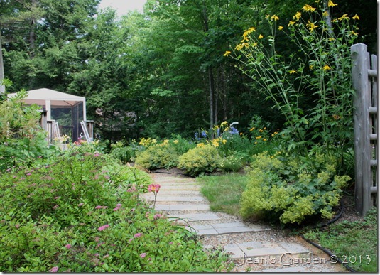 back garden entrance - July